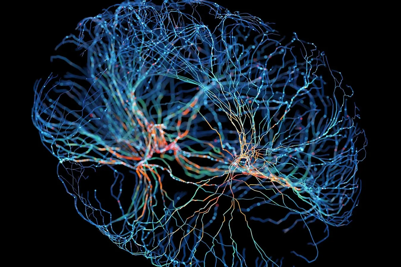 Beyond Computer Vision, Brains In Jars, And How They See