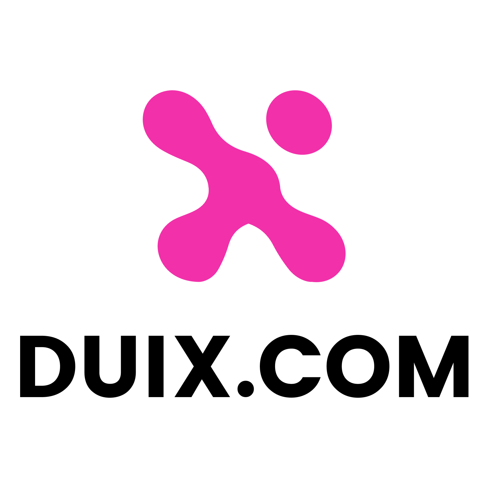 DUIX