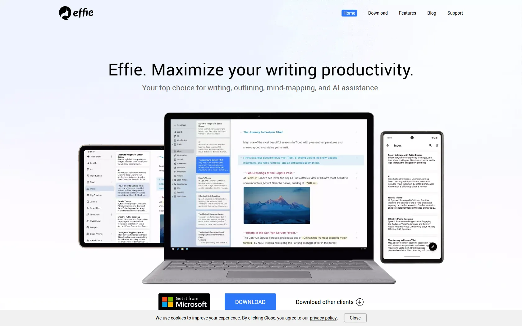 Screenshot or logo of Effie tool