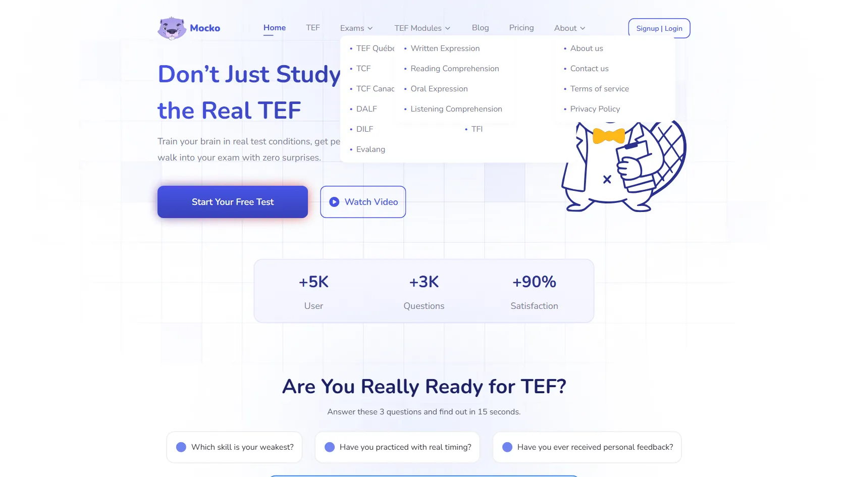 Screenshot or logo of Mocko tool