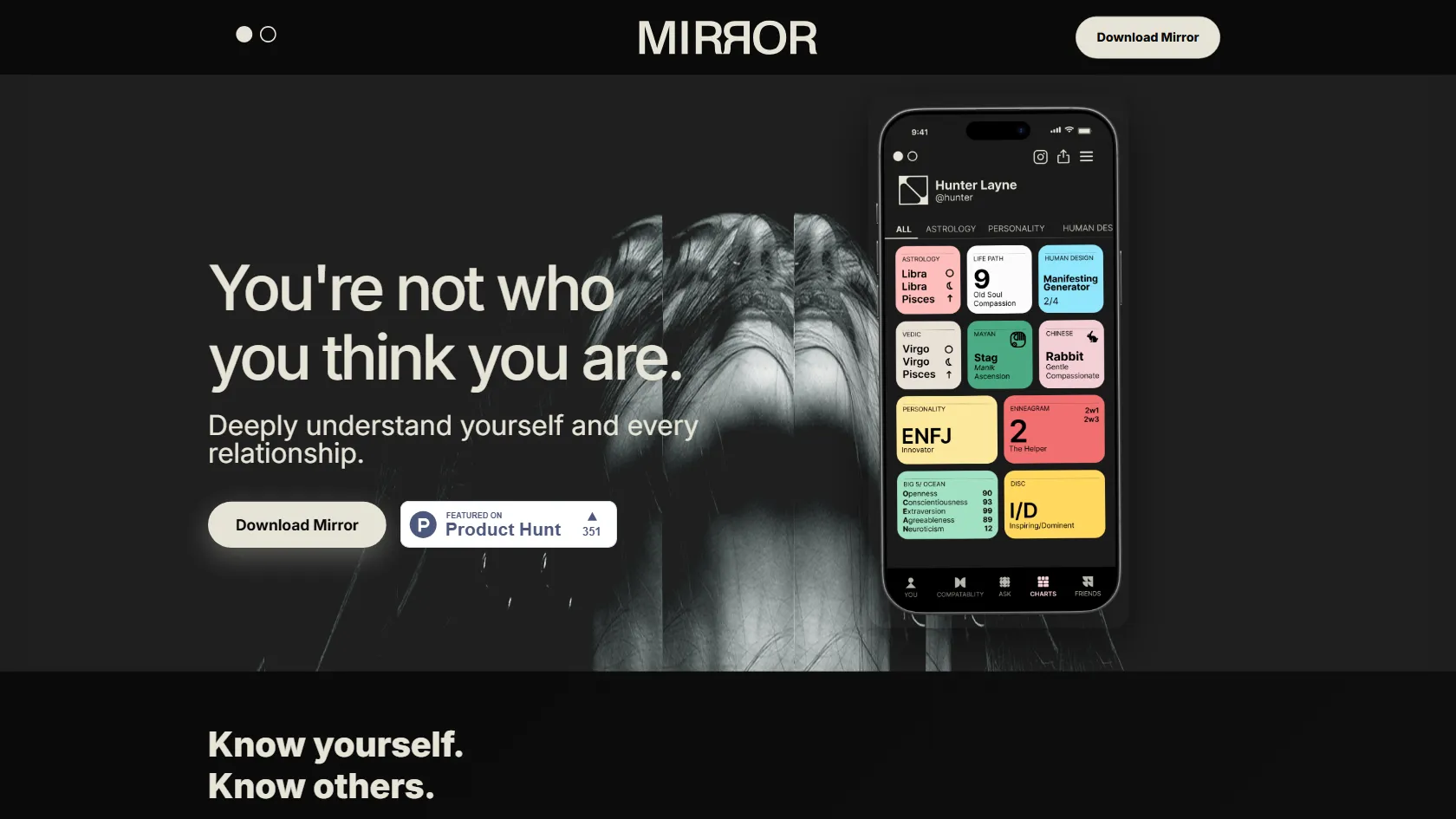 Mirror screen shot