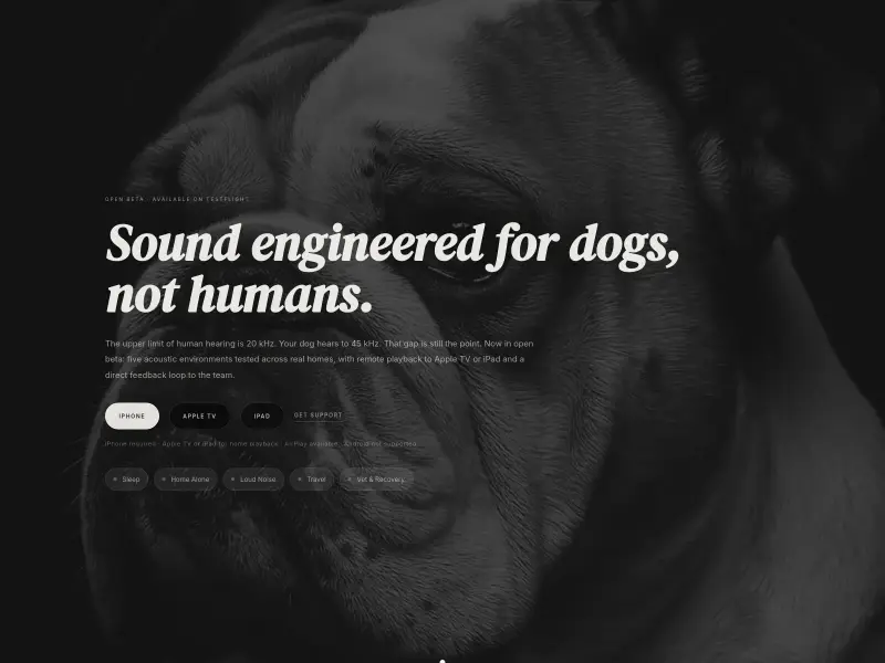 Screenshot or logo of Pawse.ai tool