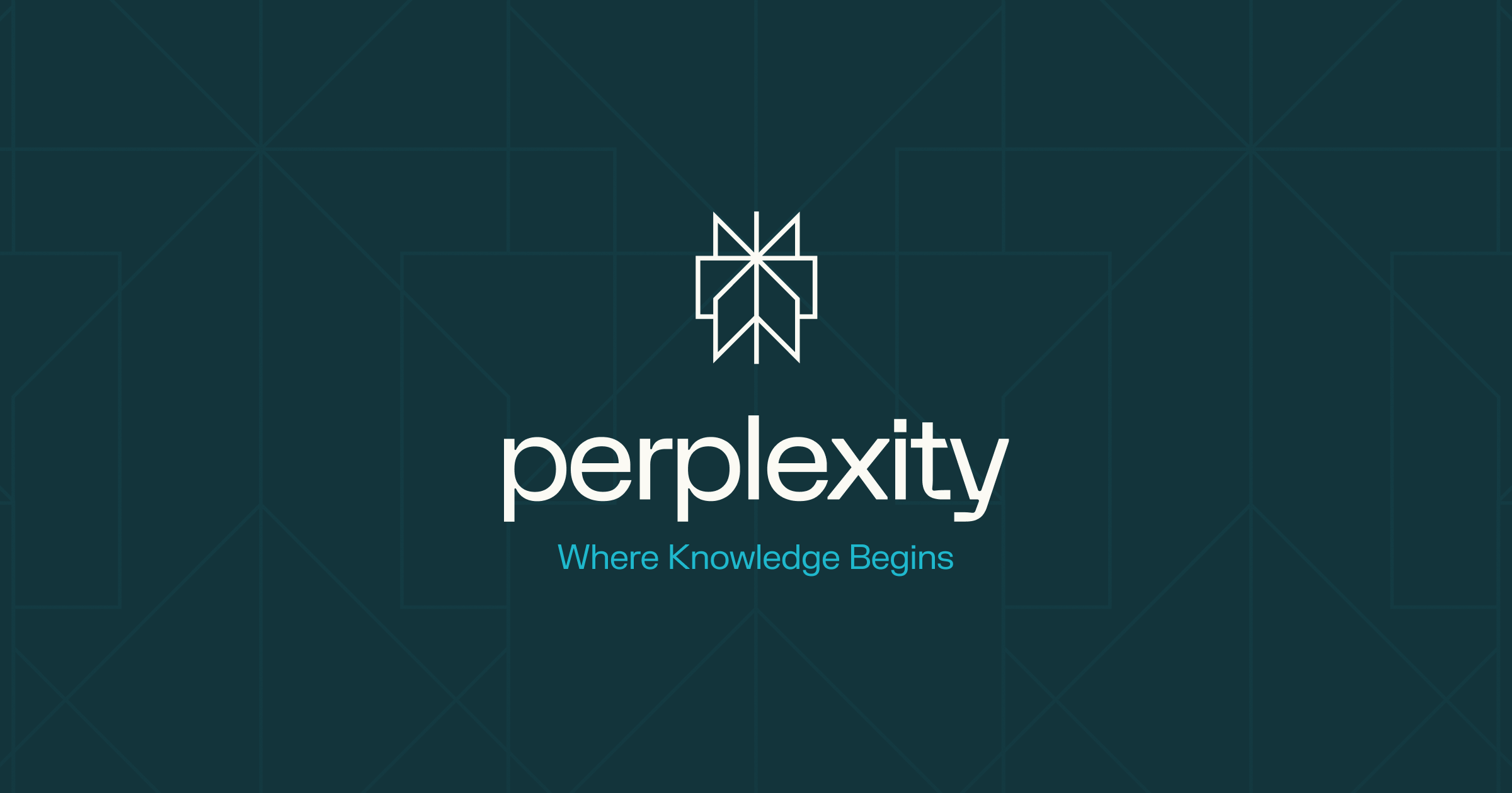 Perplexity screen shot