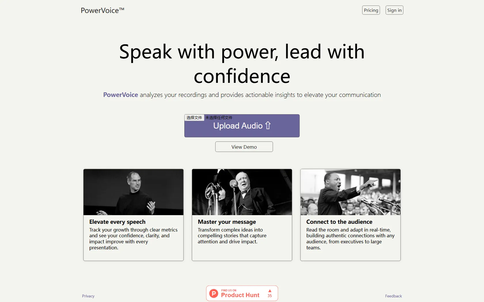Screenshot or logo of PowerVoice tool