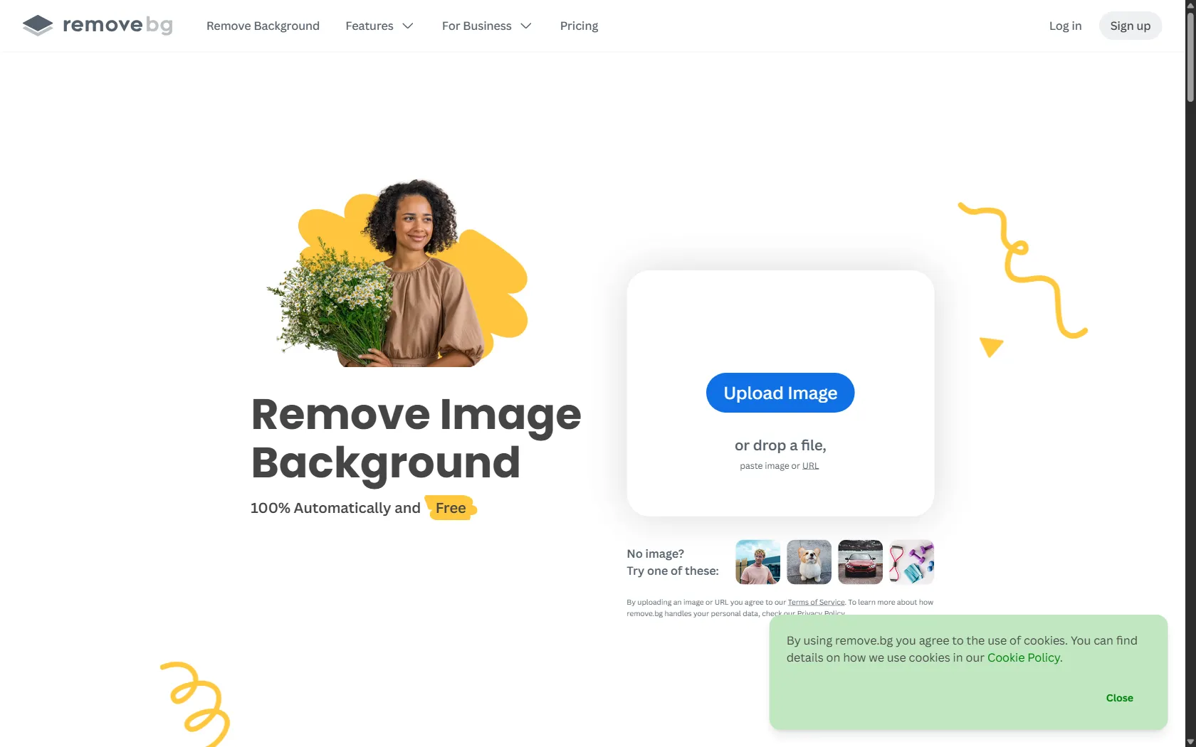 Screenshot or logo of remove.bg tool