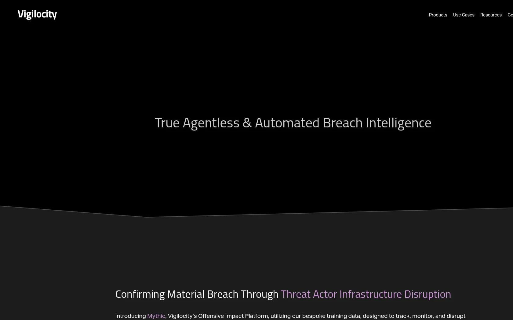Vigilocity screen shot